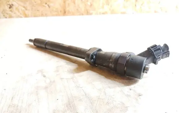 Peugeot 607 Fuel injector 0445110036