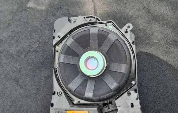 BMW 4 F36 Gran coupe Subwoofer speaker 9210152