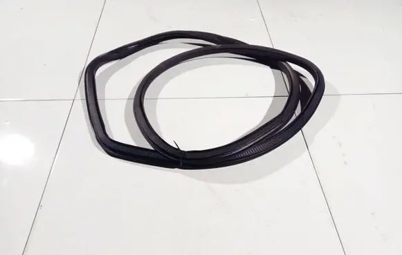 Opel Insignia A Rubber seal front coupe door 