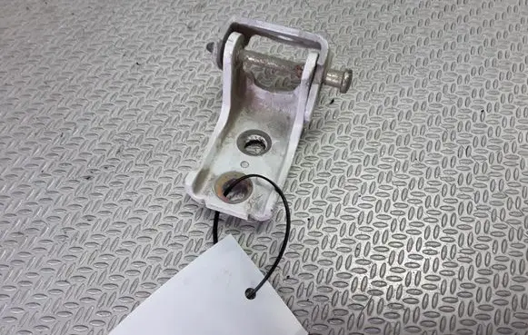 Peugeot 407 Rear door lower hinge