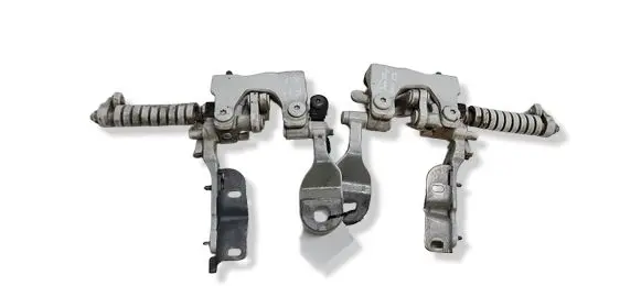 BMW 3 F30 F35 F31 Tailgate/trunk/boot hinge 7263158