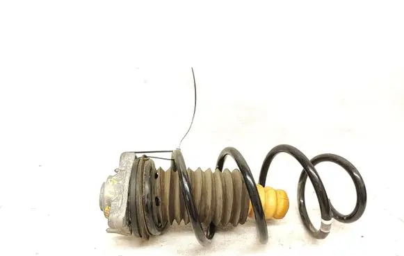 BMW X3 G01 Front coil spring 14145710
