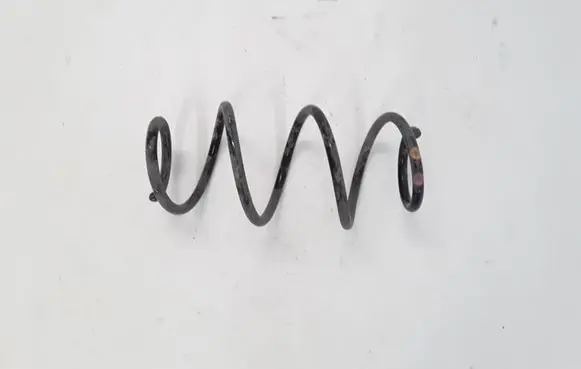 Dacia Dokker Rear coil spring 550207529R