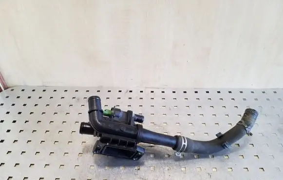 Thermostat/thermostat housing