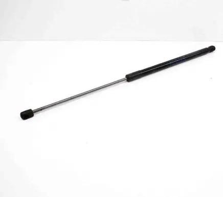 Tailgate/trunk strut/damper