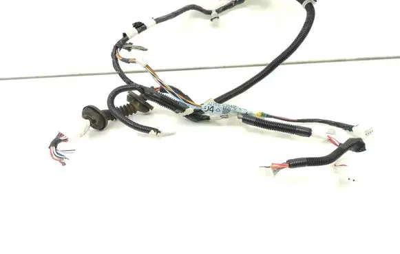Rear door wiring loom
