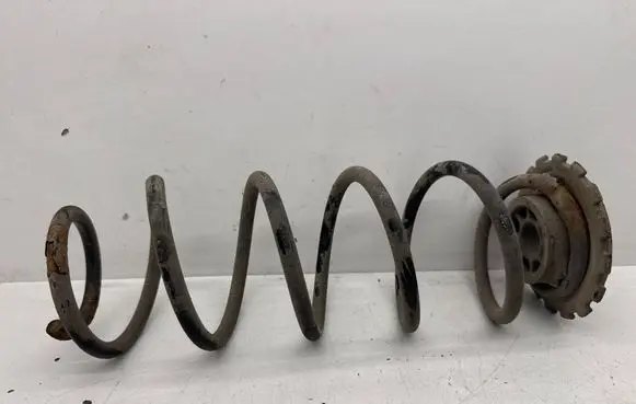 Rear coil spring