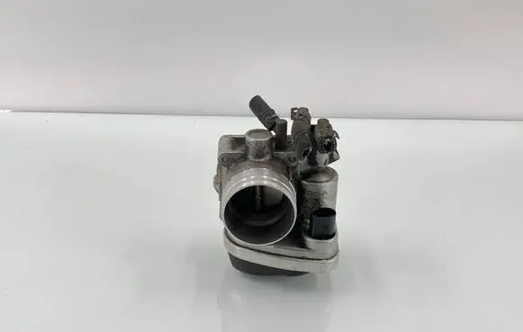 Volkswagen Golf Plus Throttle valve A2C53093430