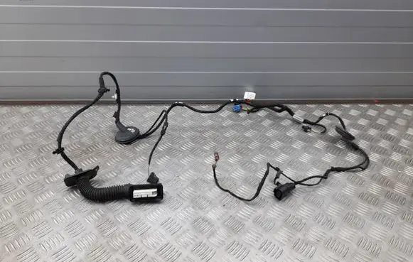 Audi A4 S4 B9 Front door wiring loom 8W0971029AK