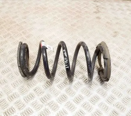 Tesla Model 3 Rear coil spring 104447201E
