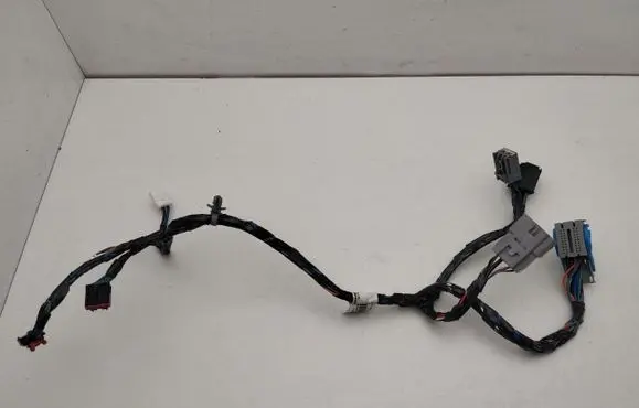 Chrysler Pacifica Other wiring loom FV166004