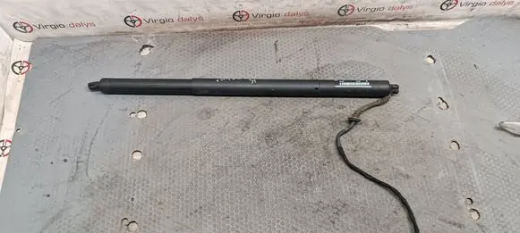 Ford Focus Tailgate/trunk strut/damper JX7BN404C84AD