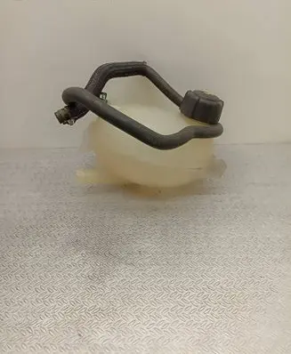 Renault Clio IV Coolant expansion tank/reservoir 217107259R