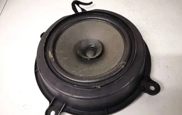 Front door speaker