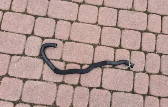 Opel Insignia B Engine coolant pipe/hose 39097762