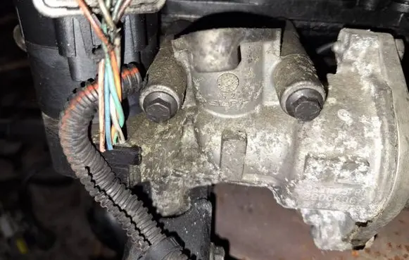 EGR valve