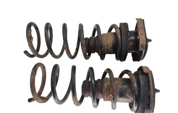 Rear coil spring