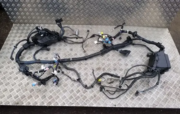 Lexus NX Other wiring loom 8211178380