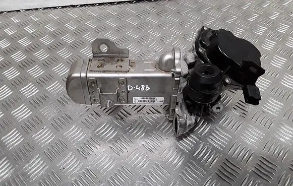 EGR valve cooler