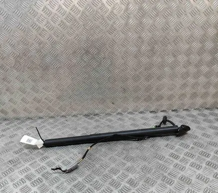 Ford Kuga III Tailgate/trunk strut/damper LV4BS402A54CA