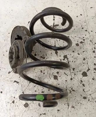 Rear coil spring
