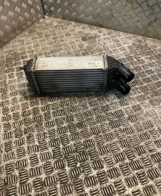 Opel Crossland X Intercooler radiator 9803900780