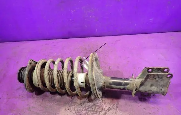 Fiat Doblo Front shock absorber with coil spring 