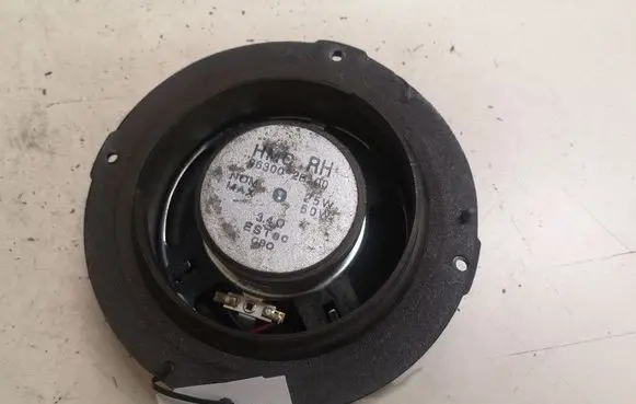 Hyundai Santa Fe Rear door speaker 96002B100