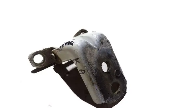 Nissan Pathfinder R51 Rear door lower hinge