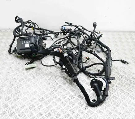 Engine installation wiring loom