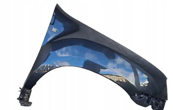 Dacia Duster II Fender PM7TEILE