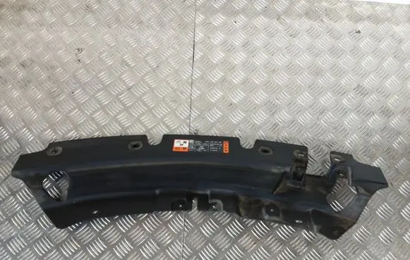 Engine bonnet/hood lock trim molding