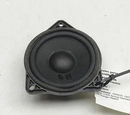 Porsche Cayenne (9Y0 9Y3) Panel speaker 95C035415A