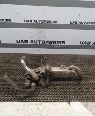Skoda Yeti (5L) EGR valve cooler 03L131512BB 0280751012
