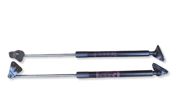 Toyota C-HR I Tailgate/trunk strut/damper 68950F4062