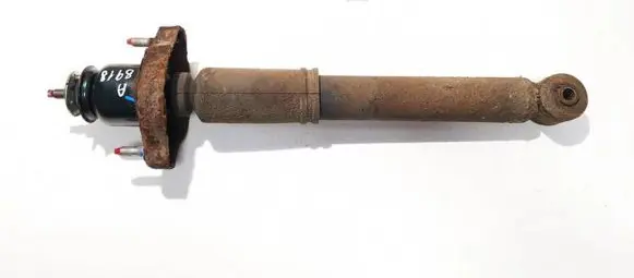 Mitsubishi Outlander Rear shock absorber/damper