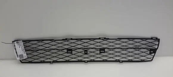 Front bumper lower grill