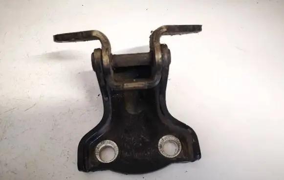 Rear door lower hinge