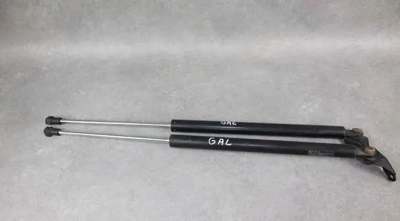 Hyundai Santa Fe Tailgate/trunk strut/damper C37E09 C17E18