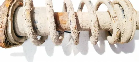 Rear coil spring