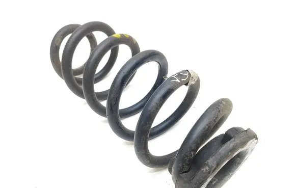 Rear coil spring