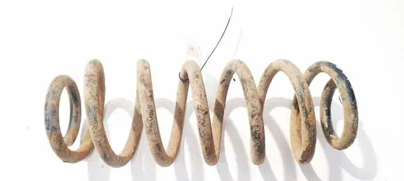 Rear coil spring