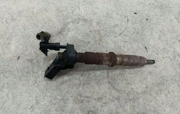 Volkswagen Crafter Fuel injector 0445115029BOSCH