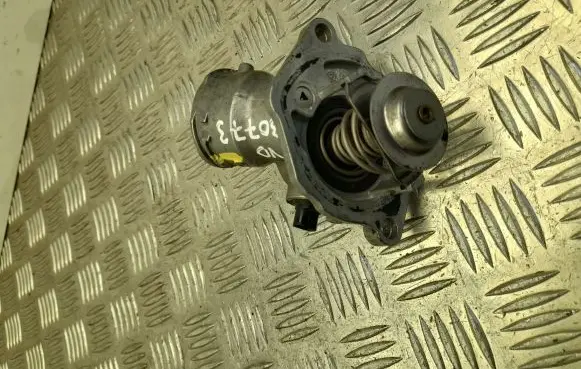 Thermostat/thermostat housing