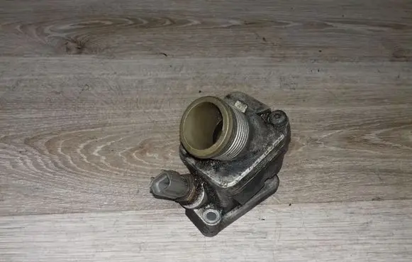 Thermostat/thermostat housing