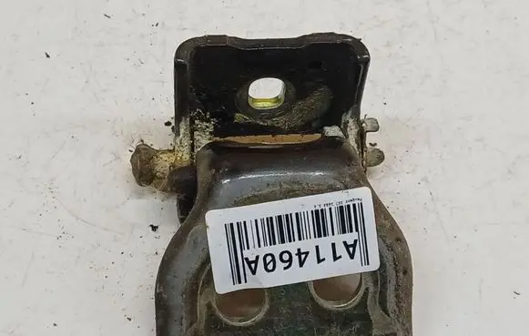 Peugeot 307 Rear door lower hinge