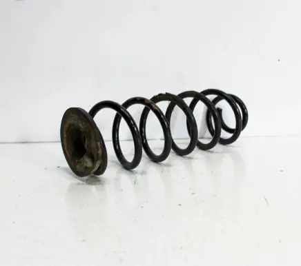 Volkswagen Golf VI Rear coil spring