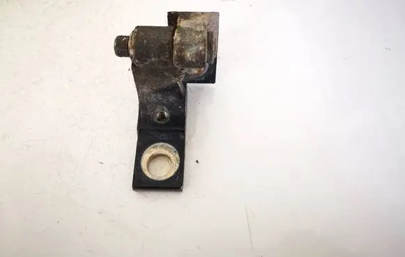 Volkswagen Golf IV Rear door lower hinge 