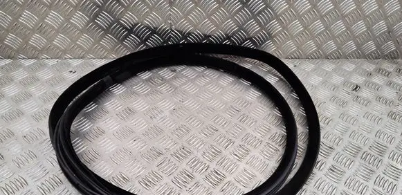 Volvo V70 Rear door rubber seal (on body) 