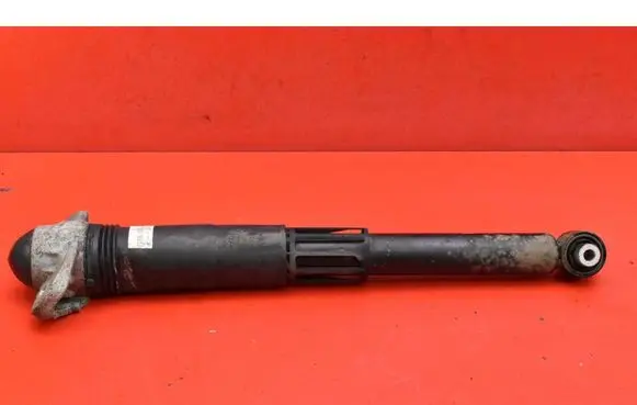 Volkswagen ID.3 Rear shock absorber/damper 1EA512011AD
